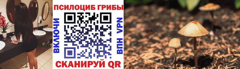 Псилоцибиновые грибы мухоморы  hydra маркетплейс  Тогучин 